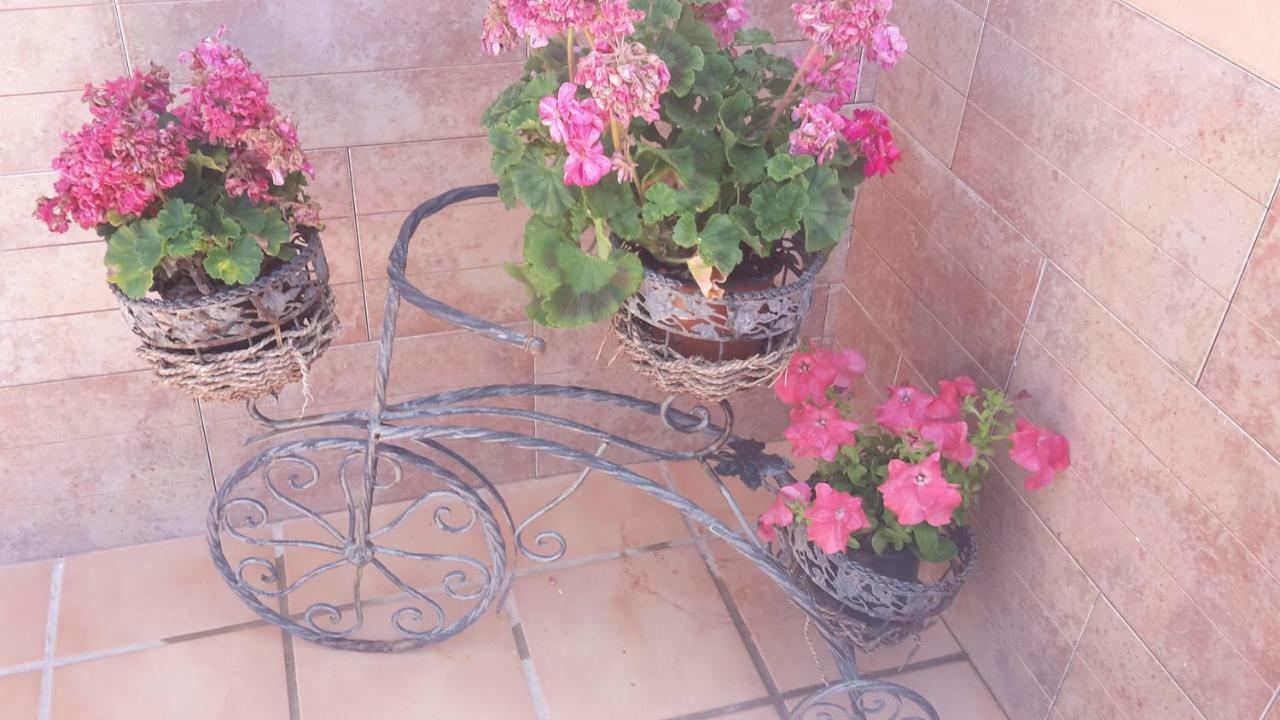Bravo 24 Apartamento Fuengirola Exterior foto
